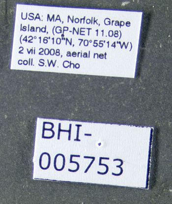 Media type: image;   Entomology 613143 Aspect: labels